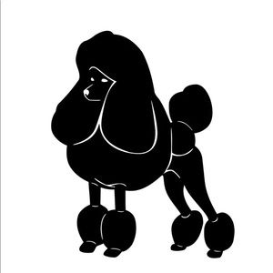 Meet your Posher, Joanna